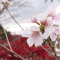 年末年始の営業のご案内